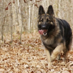 2012-maggie-102212