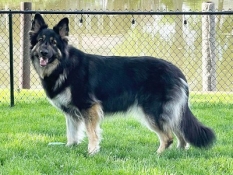 ruby