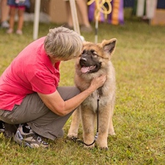 2015-0912-talley_IEW75
