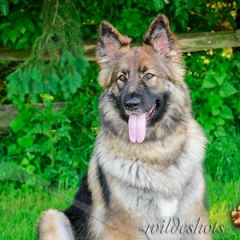2018-0526-talley_0748