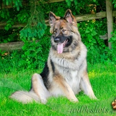 2018-0526-talley_0750