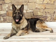 2015-RCS-maggie_LE2010