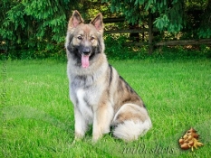 2018-0526-hattieL_0687
